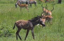 3 Days Unique safari Selous Game Reserve Tanzania