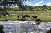 3 Days Unique safari Selous Game Reserve Tanzania