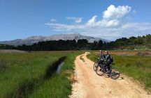 Taste of Korcula by Mountain Bike Tour (local produce tasting)