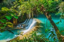 Kawasan Canyoneering, Kawasan Falls and Whaleshark Encounter