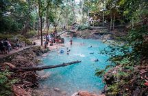 Kawasan Canyoneering, Kawasan Falls and Whaleshark Encounter
