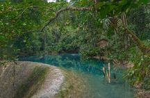 Kawasan Canyoneering, Kawasan Falls and Whaleshark Encounter