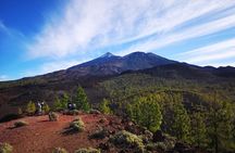 Teide National Park for smaller groups
