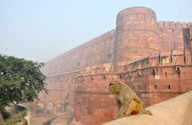 Private Taj Mahal & Agra Tour by Express Train From - Delhi