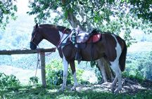 Rural Horseback Riding Tour