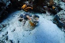 Discover Scuba Diving Private Fun Activity in Athens