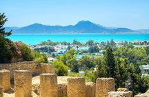 Tunis Group Tour: Carthage, Sidi Bou Said, Bardo museum & Medina
