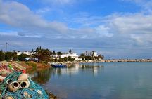 Carthage Discovery Half-Day Tour with Licensed Guide