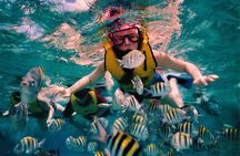 5 Islands Speedboat Cruise incl. Snorkeling in Blue Bay + Lunch at Ile aux Cerfs