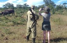 Game Drive and Rhino Walk