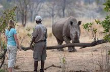 Game Drive and Rhino Walk