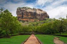 Sigiriya Rock and Dambulla Cave Temples from Colombo (All inclusive day tour)