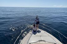 Dolphin Searching Tour in Puerto de Mogán ("KEEPER UNO" Boat)