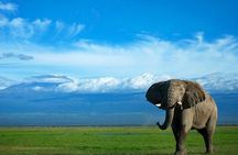 2-Day Kenya Safari - Amboseli National Park Adventure