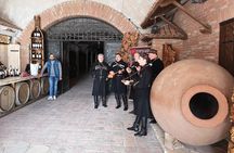 2 Days Wine Tour To Kakheti All inclusive