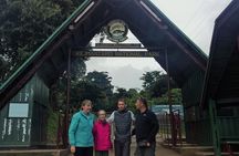 Kilimanjaro Day Hike