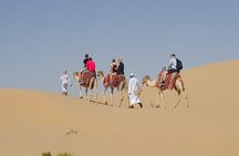 Abu Dhabi Desert safari with BBQ Dinner,Sandboarding & Camel ride