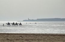 Essaouira Private 1 Day Excursion from Marrakech (min. 2 paying persons)