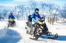 Bakuriani Ski Resort Private Day Tour from Tbilisi Snow Adventure