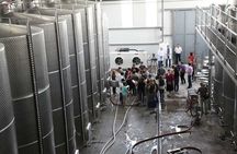 Kakheti Wine & Sighnaghi Private Tour from Tbilisi