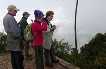Birding & Nature to Chicaque Cloud Forest Nature Reserve