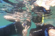 Pelican Rock Snorkeling and Sightseeing Adventure