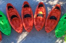 4 Hour Tandem Kayak Rental For Two People In Crystal River, Florida