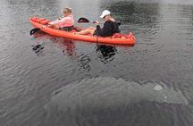 4 Hour Tandem Kayak Rental For Two People In Crystal River, Florida