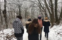 Budapest Hike