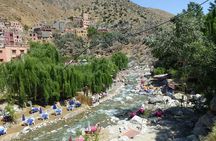 Atlas Mountain, Valleys, Camels & Waterfalls -Trip from Marrakech