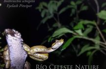 Rio Celeste Nature Night Walk