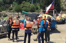Wild Penguins,Birds,Sandboard,Chilean Drinks & Food/From Valpo