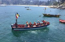 Wild Penguins,Birds,Sandboard,Chilean Drinks & Food/From Valpo