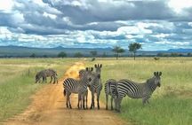 3 Days Safari at Mikumi National Park Southern circuit of Tanzania