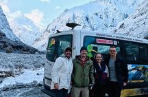 Cruise Milford Small Group Day Tour from Queenstown 