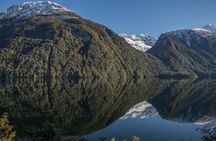 Cruise Milford Small Group Day Tour from Queenstown 