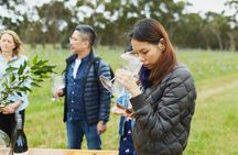 Three Day Charter Margaret River Region (Perth road travel) 