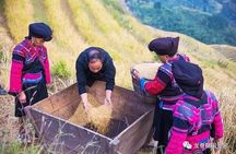 Longji rice terraces & minority villages private day tour