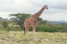 3Days 2 night Samburu shaba