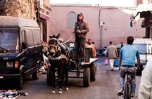 Marrakesh day trip from Casablanca with Moroccan lunch and camel ride