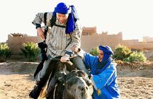 Marrakesh day trip from Casablanca with Moroccan lunch and camel ride