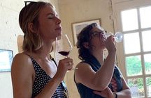 English Speaking Loire Winery Tours originating from Chinon