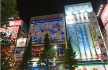 Tokyo highlights, High Rise Observatory, Meiji shrine, Imperial palace Garden 