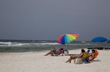 Boulders Beach Cape Town: Swimming With Penguin & Close Encounter Half Day Tour