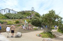 Cape Of Good Hope, Penguins Private Tour from Cape Town full day 