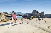 Boulders Beach Cape Town: Swimming With Penguin & Close Encounter Half Day Tour