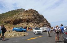 Cape Of Good Hope, Penguins Private Tour from Cape Town full day 