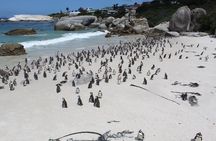 Cape Of Good Hope, Penguins Private Tour from Cape Town full day 