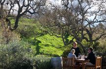Private Guided Wine Country Tour from Santa Barbara