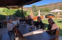 Private Guided Wine Country Tour from Santa Barbara